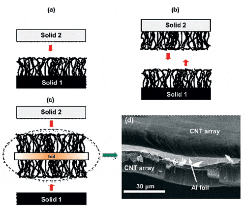 material thermal carbon nanotube interface High Nanotubes Carbon as Interface Performance Thermal