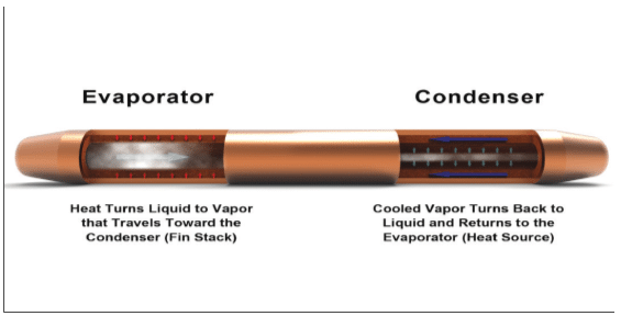 ft3-figure1